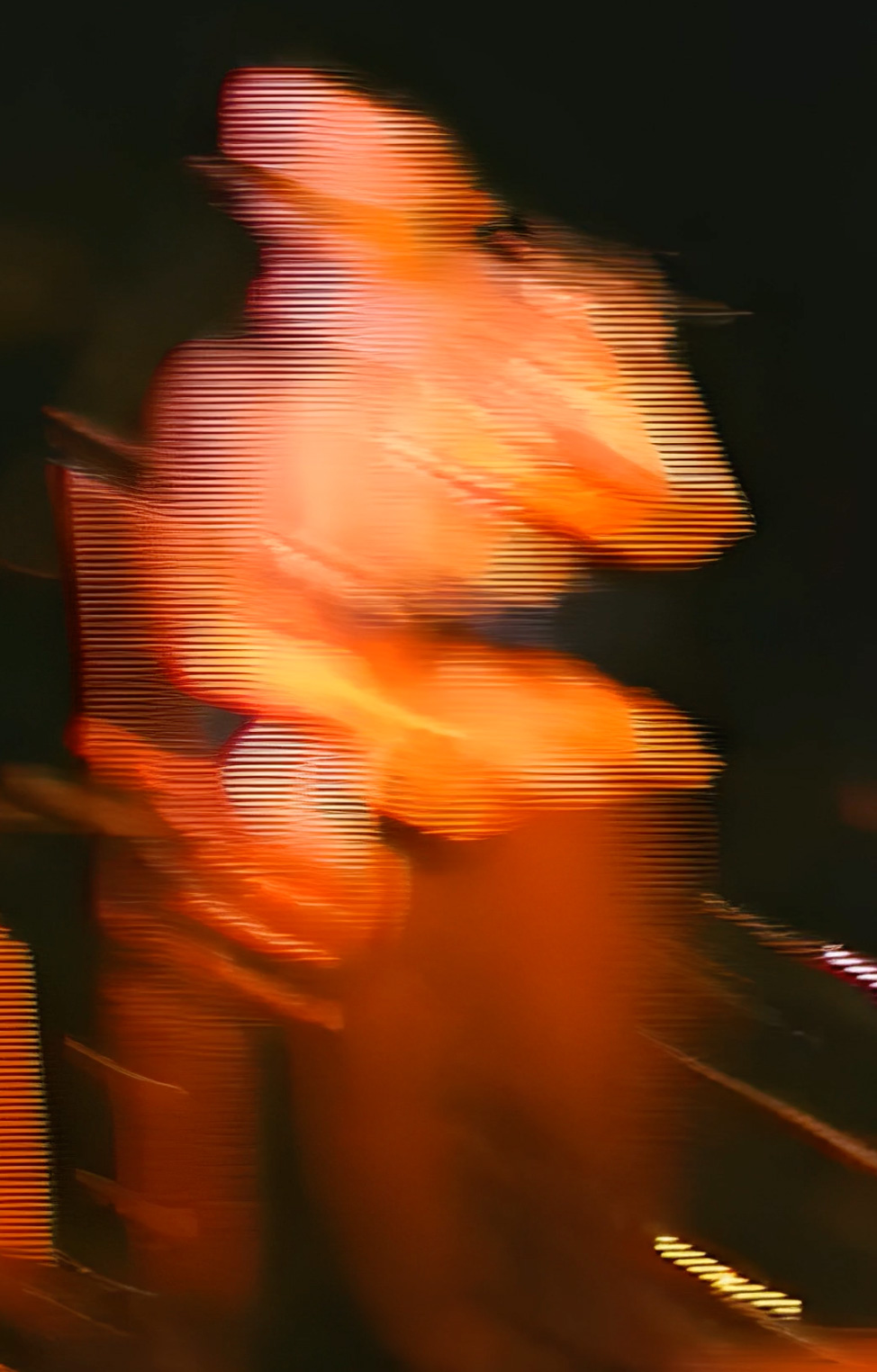 Scanlines